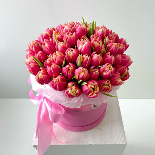 Double tulips in a box
