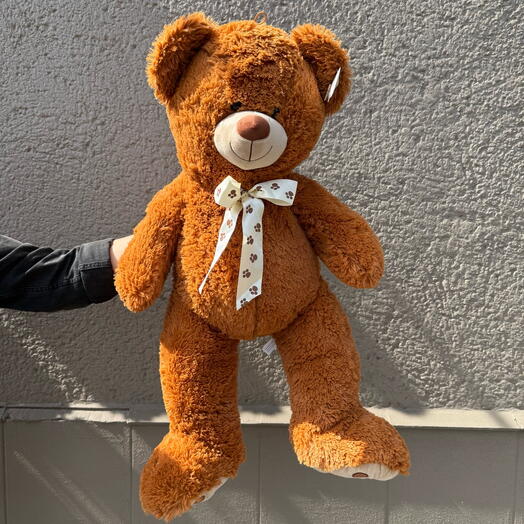 Orsetto di peluche marrone 🧸