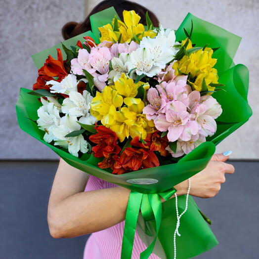 Rainbow Delight 🌈