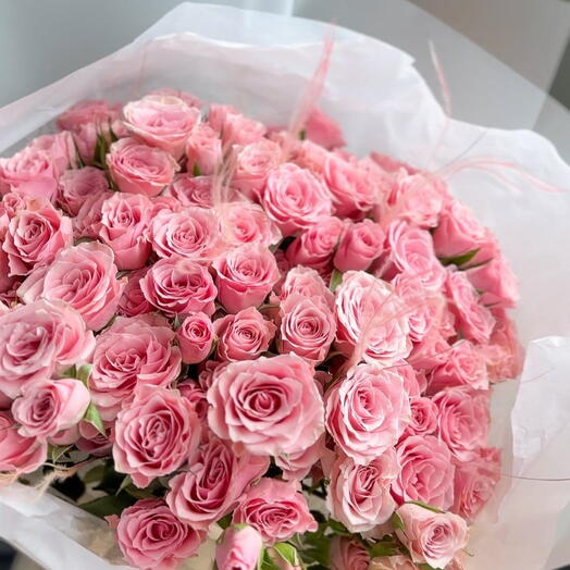 Pink Spray Roses