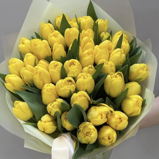 Tulip mono Sunny yellow