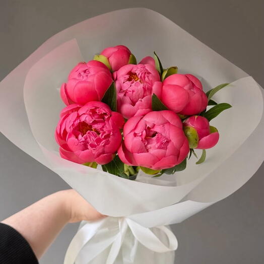 Peonia Corallo 7