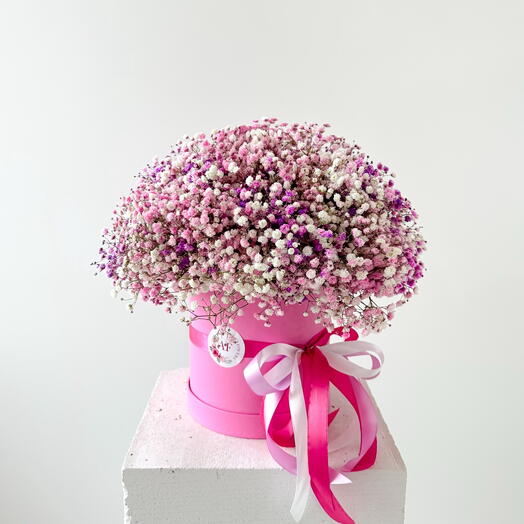 Pink and purple gypsophila in a box