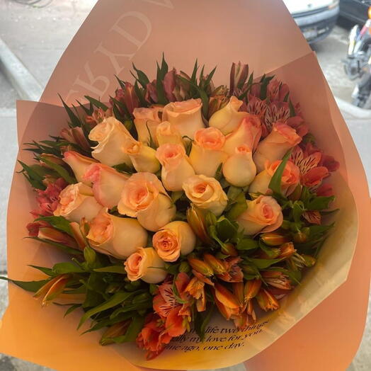 Encanto en Australia