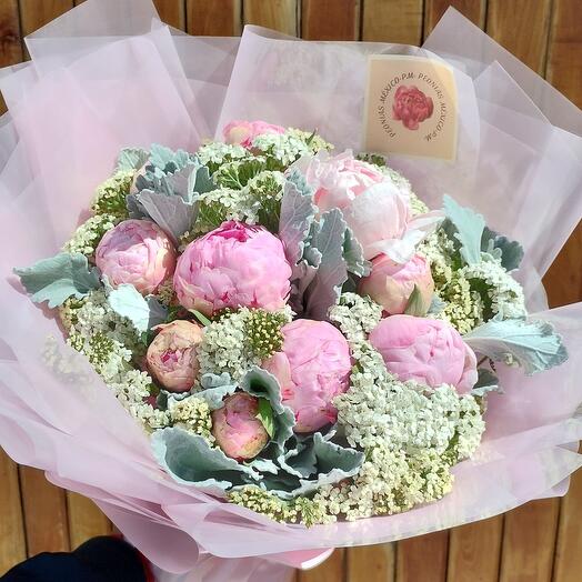 Decena de peonias Sara Bernhardt