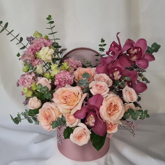 Мечта нежно-розовой орхидеи