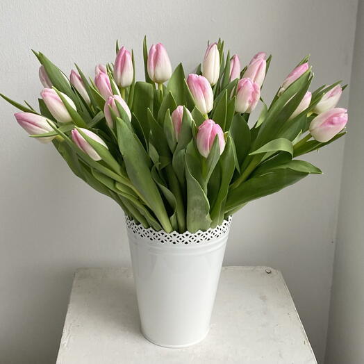 Sorriso 25 tulipani rosa in vaso