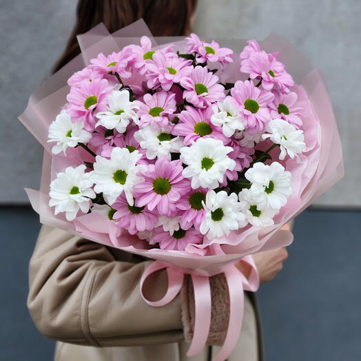 Sweet chrysanthemum 🌸