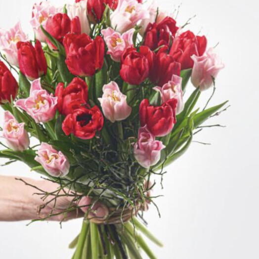 Red and pink tulips with a sprig