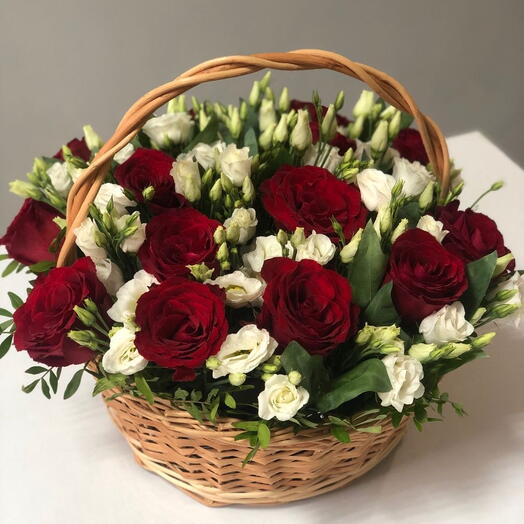 Composizione Solo Tu