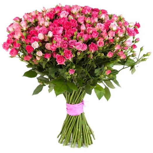 Rose a ramoscello con vaso