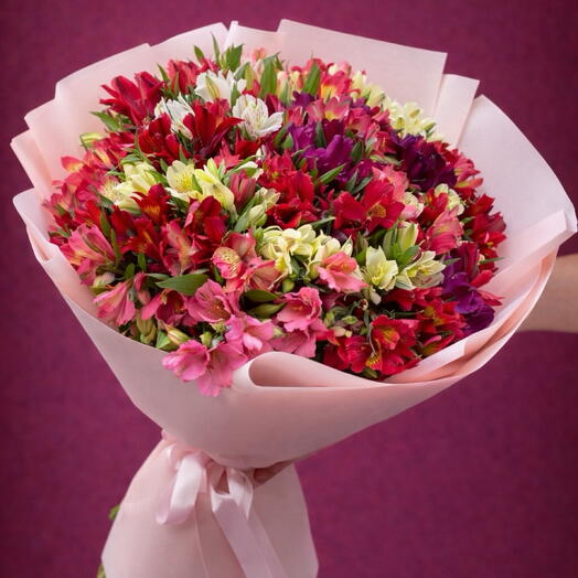 Mix Alstromerie - 55