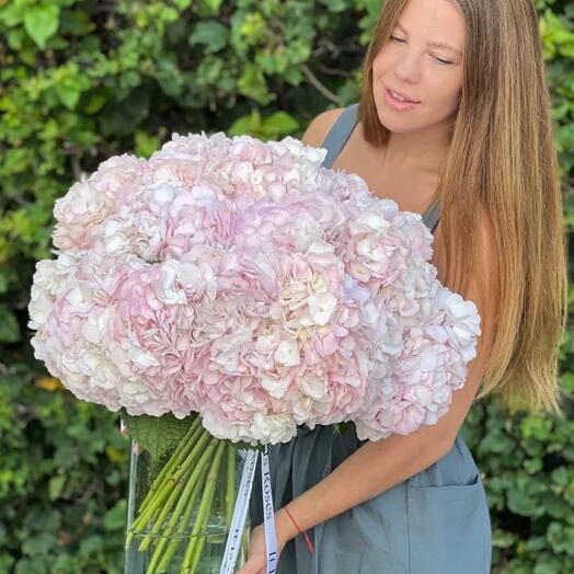PINK HYDRANGEAS BOUQUET