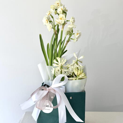 Hyacinths and narcissus