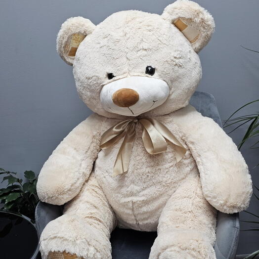 Мягкий медведь 1м
