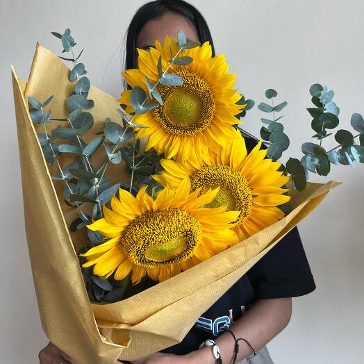 Sunflowers and eucaliptus