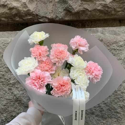 Marshmallow Dianthus