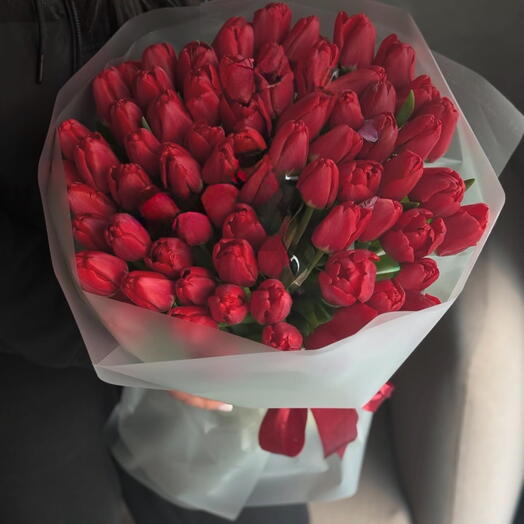 51 Red Tulips