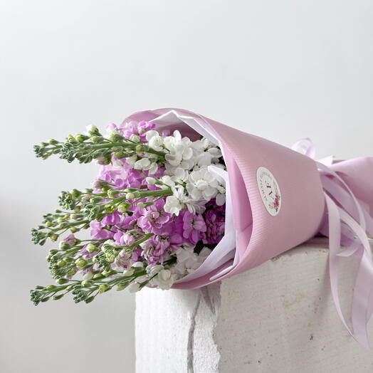 Purple and white matthiola bouquet 15pcs