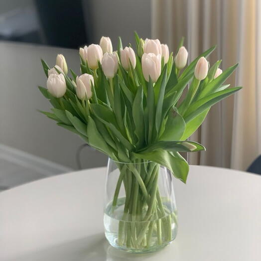 Tulipani bianchi + vaso