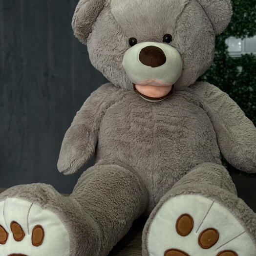 Pluszak miś Brązowy