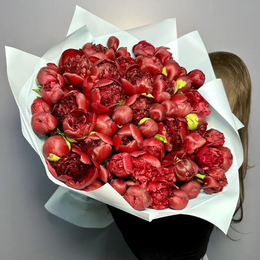 101 bujori bordo