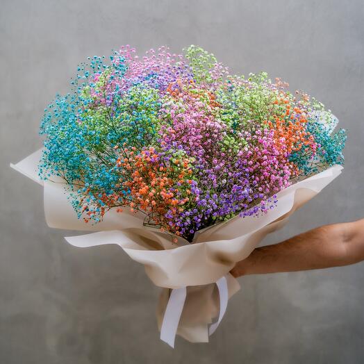 Rainbow Gypsophila