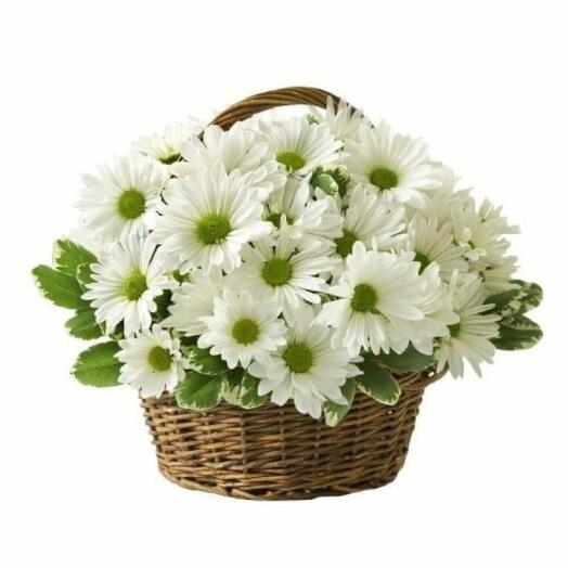 Səni xatırlayıram