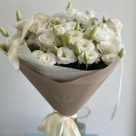 13 Eustoma