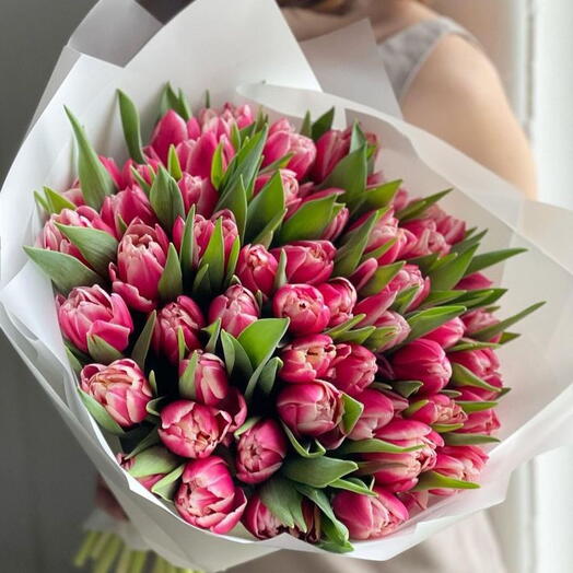 51 Тюльпан сорта "Колумбус"