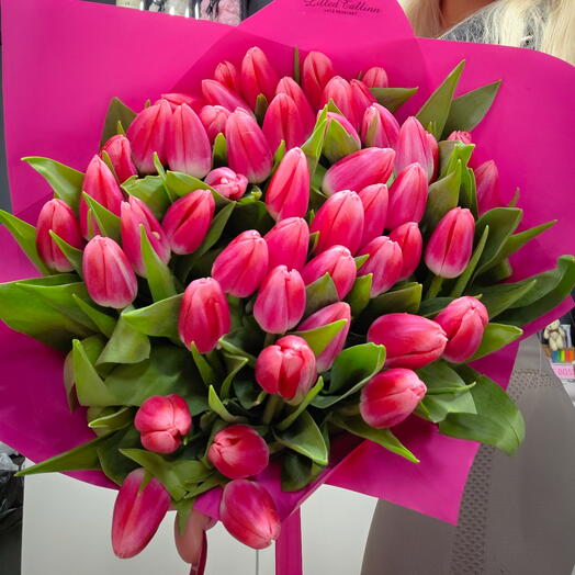 Pink tulips