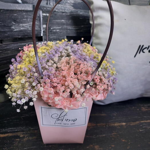 תיק גיפסנית