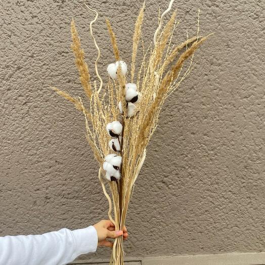 Dry bouquet with cotton