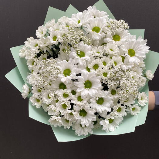 1075 Field of Chrysanthemums