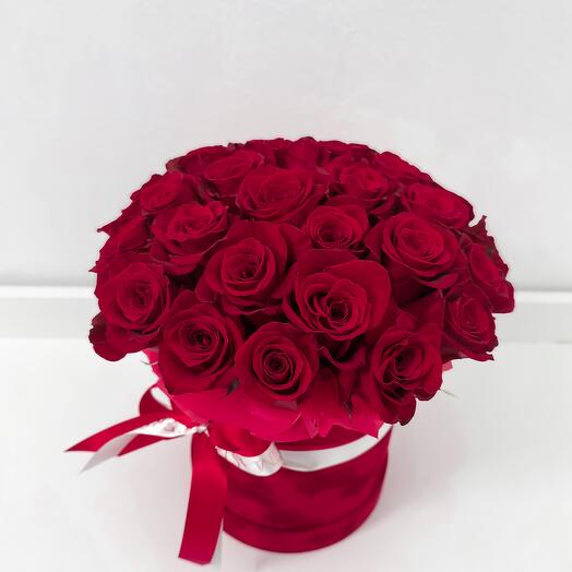 31 red roses in Velvet box