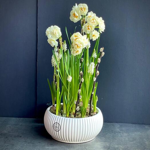 Spring composition in ceramics