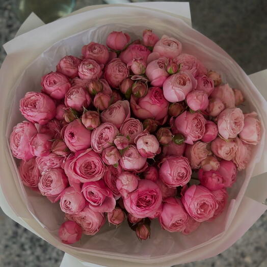 Шляхетна тиша