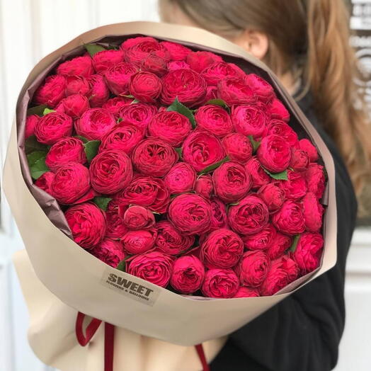 51 Cherry Trendsetter