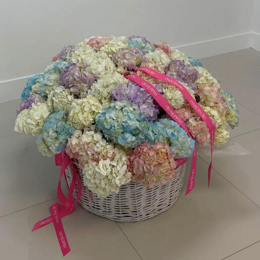 Cloud 9 - Colorful Hydrangea Basket