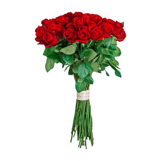25 Red roses