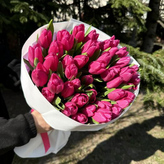 45 Pink Tulip