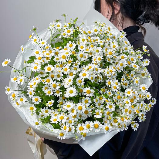 A delicate bouquet of daisies