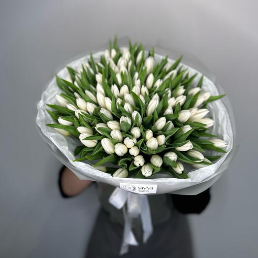 101 tulipani bianchi