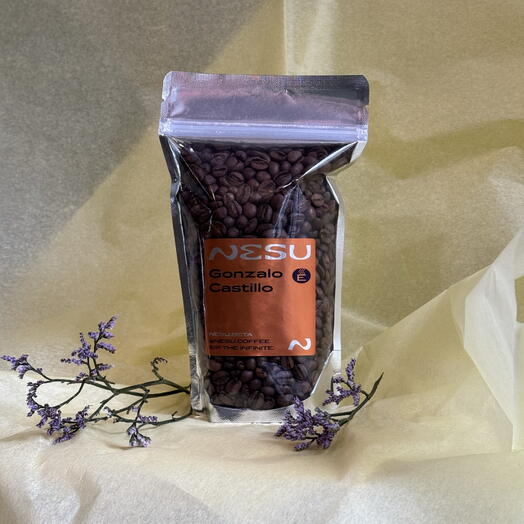 NESU Nicaragua Gonzalo Castillo