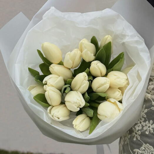 20 White Tulips