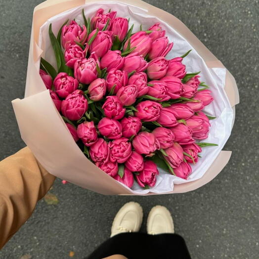 51 Голандский пион