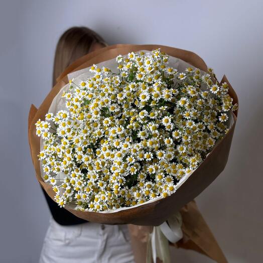 Букет из 51 веток ромашек Матрикария