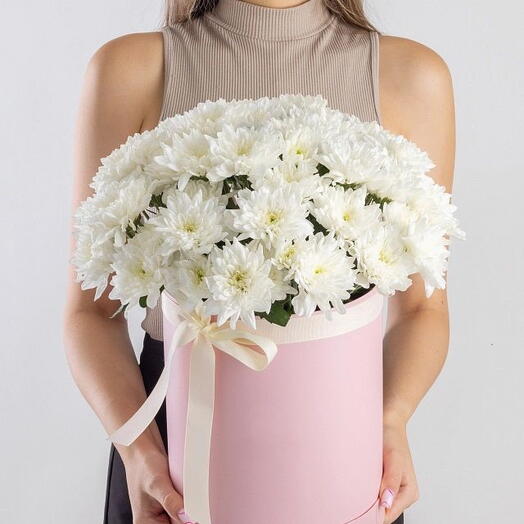 Хризантемы Алтай в коробке «Nina»