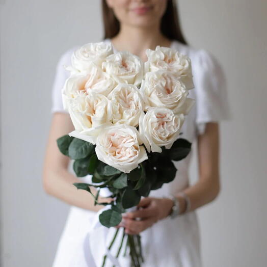 9 пионовидных роз Вайт Охара под ленту