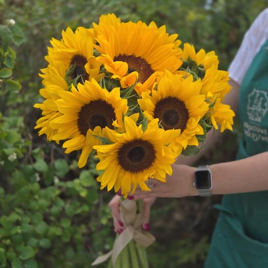 Sunflower (9 pieces)